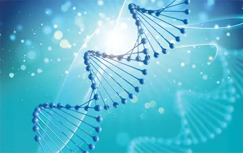 GENETIC-AND-MOLECULAR